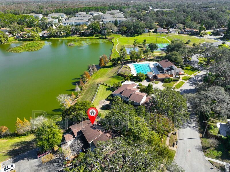 Beautiful 3/1.5 Lutz Townhome property image