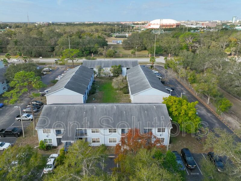 Fantastic Location near USF Area perfect for students, traveling nurses, and working professionals! property image
