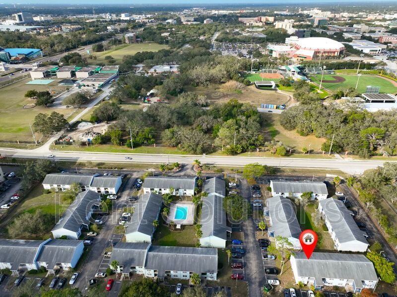 Fantastic Location near USF Area perfect for students, traveling nurses, and working professionals! property image