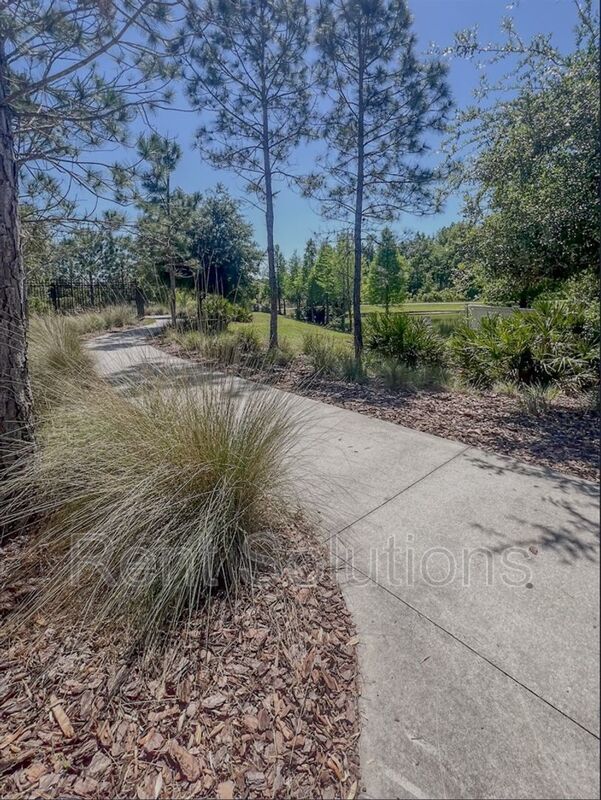 Beautiful 4/2.5 Wesley Chapel Home property image