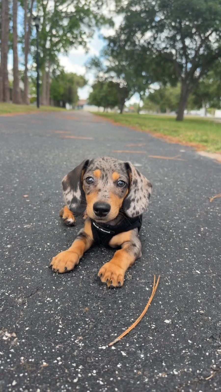 Lauren Oehlerking — personal photo