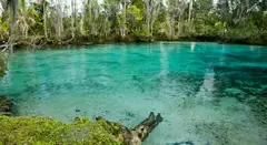 Crystal River