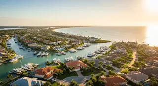 Palm Harbor