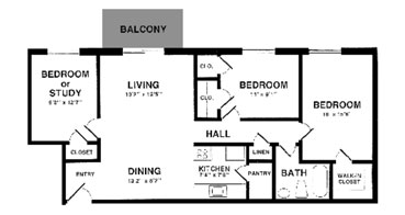 Black and White Floorplan